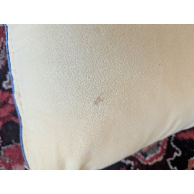 Vintage French Neoclassical Aubusson Jacquard Tapestry Pillows- A Pair For Sale - Image 11 of 16