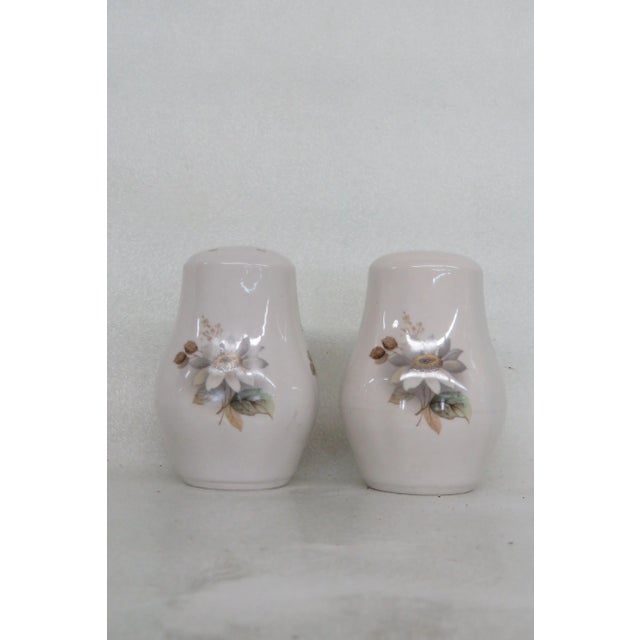 Staffordshire Ceramic Daisey Flowers Set of Salt and Pepper Shakers For Sale - Image 12 of 12