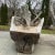 Specimen Carved Driftwood Outdoor Chair. Large specimen piece of driftwood carved in to an outdoor chair with lichen...