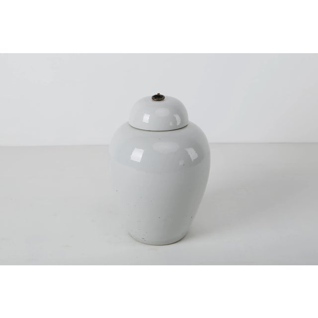 Artissance CLARA PORCELAIN COLLECTION are all handmade and hand painted, these simple but elegant matte-glazed off white...