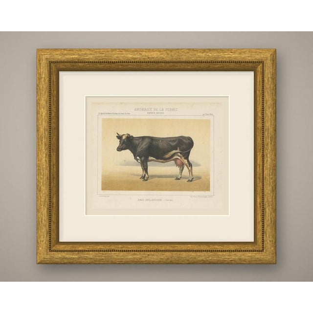This is an original antique chromolithograph, printed in color from several lithographic stones, from victor borie's...