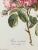 Vintage Botanical Rose Rosa Centifolia After Van Spaendonck Gilt Framed Print 1960's For Sale - Image 4 of 13