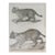 Mid 19th Century Us Pacifc Railroad Wild Cats Lithograph Book Plate For Sale