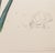 Paper Salvador Dali "Gladiolus (Ears)" Etchings, 1972 For Sale - Image 7 of 12