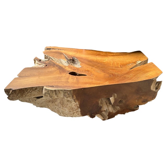 2010s Andrianna Shamaris Impressive Single Teak Root Coffee Table For Sale - Image 5 of 18