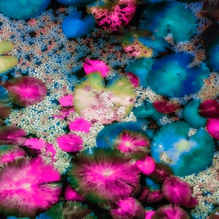 Mood Story, Confetti Pink, 50x50 Fine Art Photography by Kristin Hart For Sale