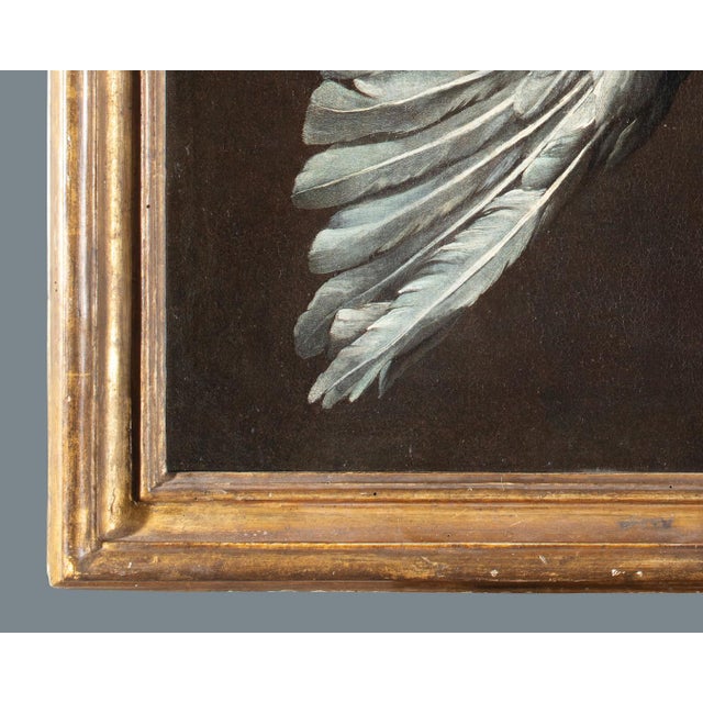 Jean-Baptiste Oudry, White Duck, 1800s, Oil on Canvas, Framed For Sale - Image 10 of 13