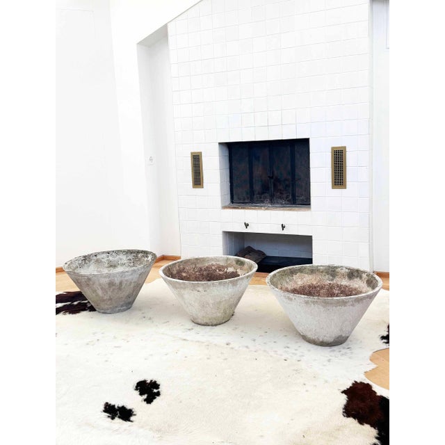 1970s Tapered Concrete W. Guhl Eternit Planter A+ Patina, 3 Pieces, Attributed For Sale - Image 11 of 17