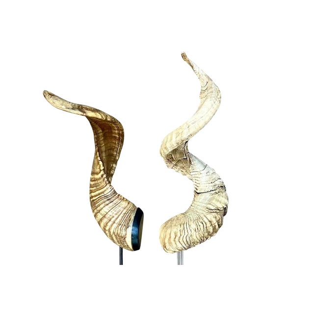 Bone Vintage Boho Set of Single Antlers For Sale - Image 7 of 12