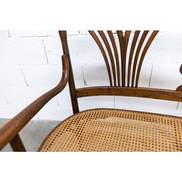 Hand-Caned Bentwood Bench from Fischel, 1930s For Sale - Image 14 of 18