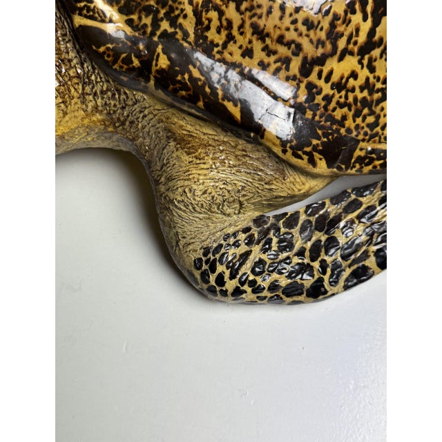 Realistic Plastic Turtle For Sale - Image 12 of 18