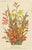 Paper Exquisite Botanicals, 1885, Paper, Set of 6 For Sale - Image 7 of 8