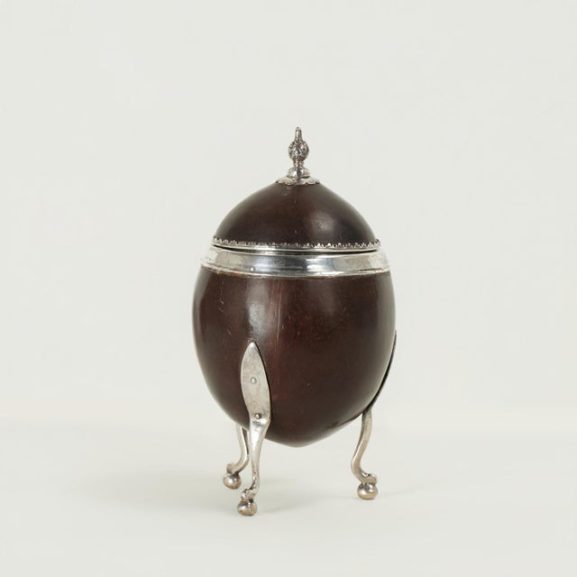 Lofty antique Anglo Indian lidded box handcrafted with a polished coconut shell enhanced with silver metal highlights...