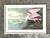 Vintage Audubon Print of Pink Spoonbill For Sale - Image 4 of 12