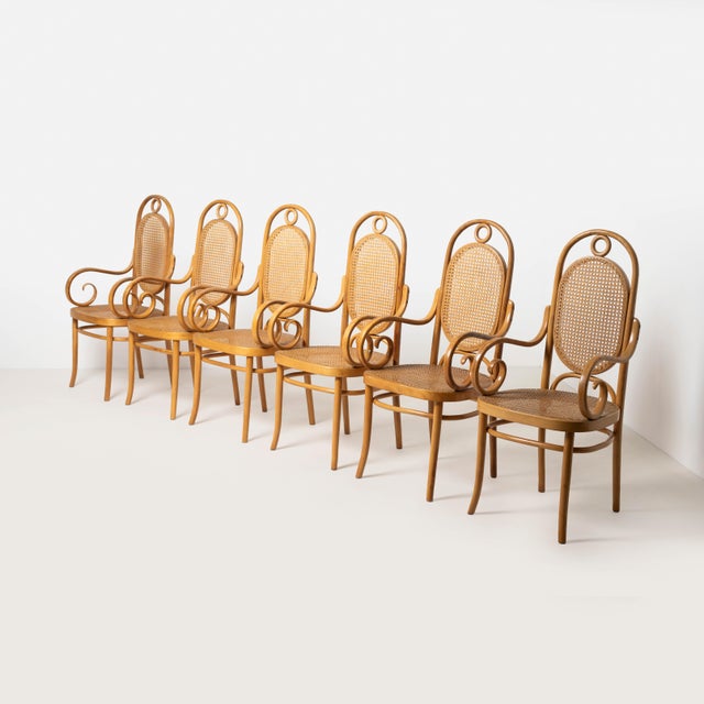 Bentwood No. 17 Long John Armchairs from Michael Thonet, Poland, 1980s, Set of 6 For Sale - Image 11 of 11