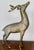 14 1/2 inches tall, brass reindeer