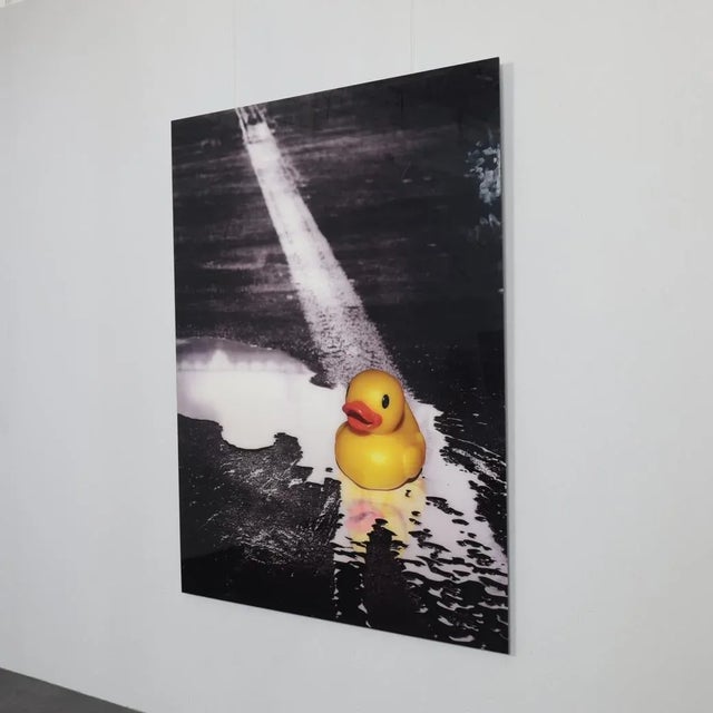 Modern Ivana Vostrakova, Spring Swimming, 2013, Archival Pigment Print For Sale - Image 3 of 7