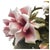 Ceramic VTG Large Italian Porcelain Rose Bouquet Basket Centerpiece Capodimonte 22.5” For Sale - Image 7 of 18