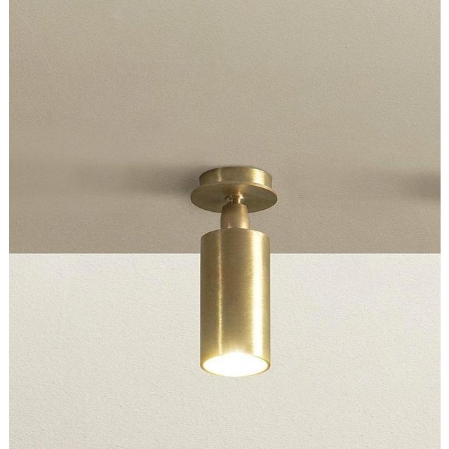 TF500 Ceiling Lamp in Satin Brass with an Adjustable Tubular Diffuser by Daluce For Sale - Image 6 of 6