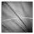 Paul Cooklin, Grass #III, Edition of 50 For Sale