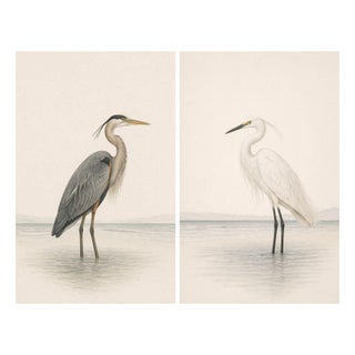 Heron & Egret Coastal Set of 2, Neutral Bird Wall Art Prints, Reproduction For Sale