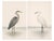 Heron & Egret Coastal Set of 2, Neutral Bird Wall Art Prints, Reproduction For Sale