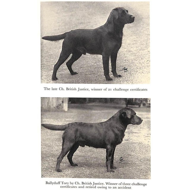 LORNA, Countess Howe [135] pp. Popular Dogs 1961 Third Printing 8 1/2" x 5 3/4" w/ 31 illustrations