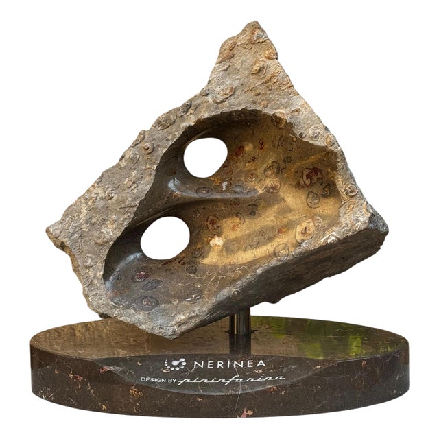 Infinite Rock in Jurassic Fossil Stone by Nerinea For Sale