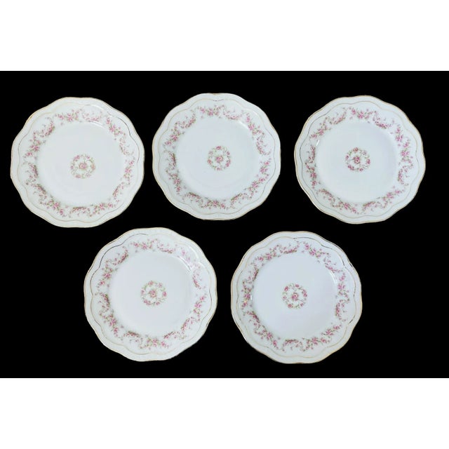 Shabby Chic Z..s. & Co Bavaria Orleans Floral Dinner Plates. Set of 10 For Sale - Image 3 of 6