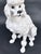 Italian Faience Poodle Figure, White Glaze With Blue Bow, Mid-20th Century, 21 3/4 In. Tall For Sale - Image 10 of 15