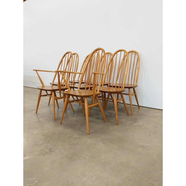Brown Set of 8 Vintage Mid Century Modern Dining Chairs by Ercol For Sale - Image 8 of 12