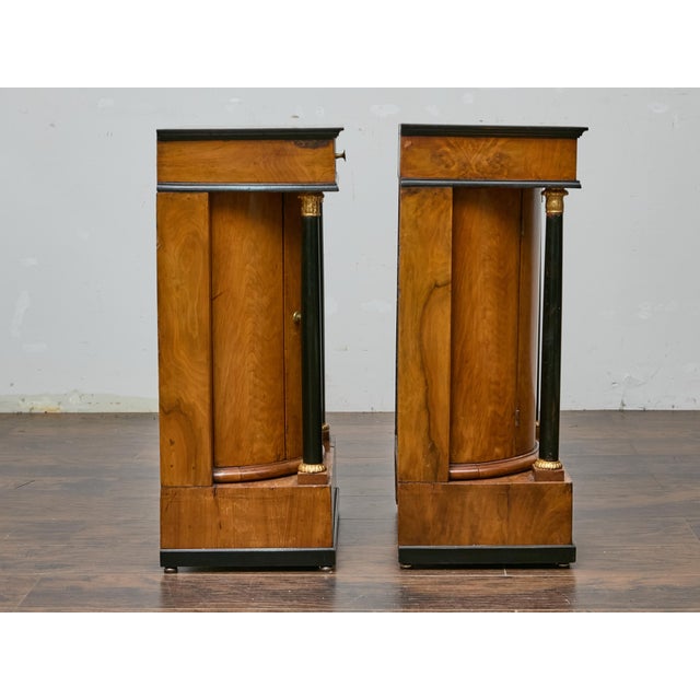 Pair of 19th Century Biedermeier Bedside Cabinets, Walnut and Ebonized Columns For Sale - Image 10 of 12