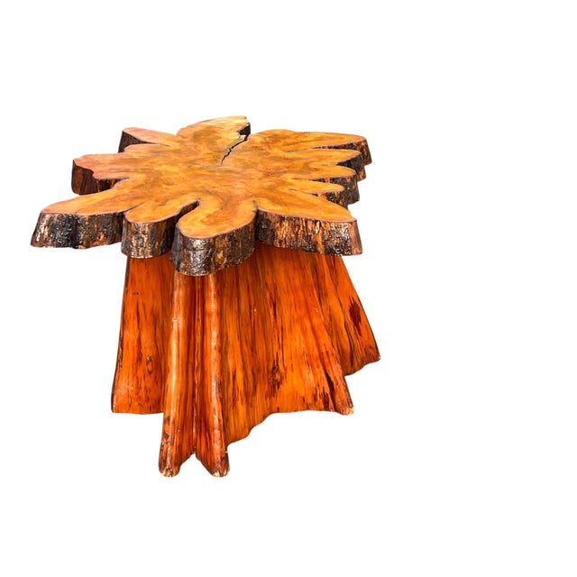 Mid 20th Century Beautiful Vintage Cypress Live Edge Tree Stump Center Coffee Table For Sale - Image 5 of 15