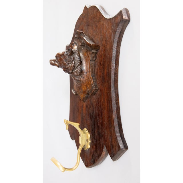 A fine antique black forest Swiss hand carved dog head sculpture plaque coat rack with a gilt bronze hook, circa 1900....