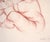 "The Artists Wife" Realistic Nude Woman in Conté on Paper by Garth Benton by Garth Benton For Sale In Monterey, CA - Image 6 of 8