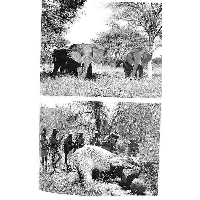 White "My Kenya Days" 1994 Thesiger, Wilfred For Sale - Image 8 of 11