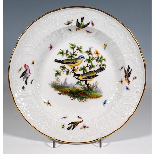 Splendour Plates from Meissen, 1850, Set of 6 For Sale - Image 9 of 11