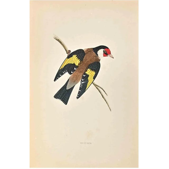 Goldfingh is a modern artwork realized in 1870 by the British artist Alexander Francis Lydon (1836-1917) . Woodcut print,...