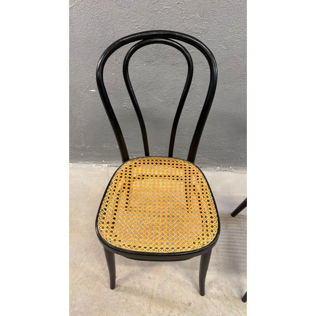 Bentwood Vienna Straw Seats, 1960s, Poland, Set of 2 For Sale - Image 10 of 12