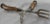 Brown Vintage German Sterling Silver Tongs With Horn Handles For Sale - Image 8 of 10