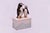 Contemporary Spiral Ceramic Urn by Heidi Hartmann For Sale - Image 3 of 3