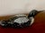 Vintage Folk Art Statue Loon L. L. Bean Carved Wood Vintage Stunningly Exquisite Waterfowl Wooden Decorative Decoy Folk Art Statue Mint Condition For Sale - Image 14 of 18