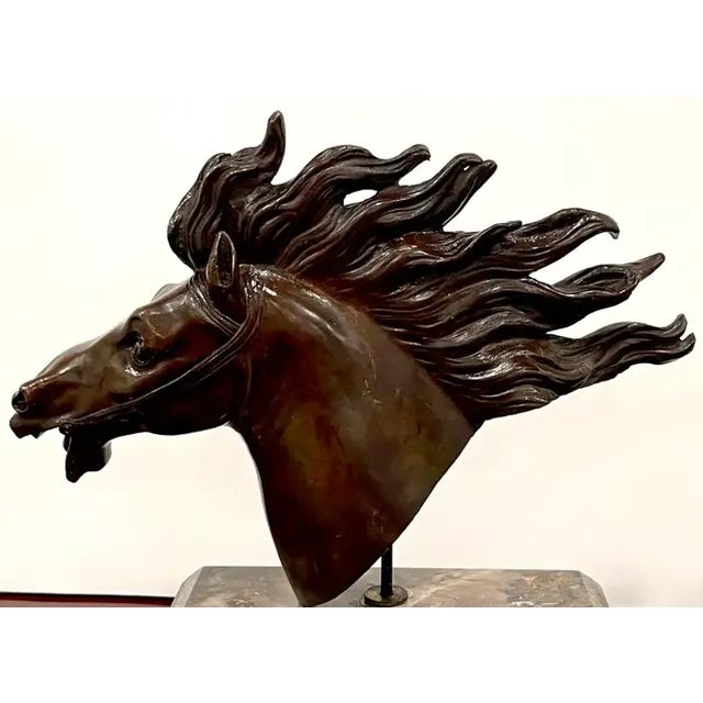Bronze Italian 18th C Grand Tour Roman Bronze Bust of a Horse, Specimen Marble Base For Sale - Image 8 of 10