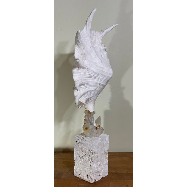 Exquisite Fine Art Shell & Crystal Sculpture by Joseph Malekan For Sale - Image 13 of 15