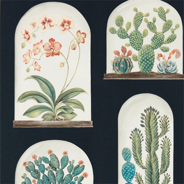 Sanderson Terrariums Wallpaper in Ink/Multi - a Sample For Sale