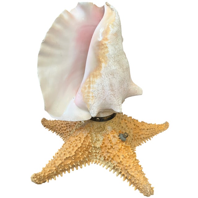 Maitland - Smith Vintage Natural Conch Shell & Starfish Coastal Table Lamps - a Pair For Sale - Image 4 of 18