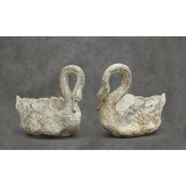 Large French Swan Garden Planters, 1950s, Set of 2 For Sale - Image 10 of 10