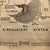Wood Mid 20th Century Educational Zoological Dogfish Anatomy Chart by New York Scientific Co. For Sale - Image 7 of 12
