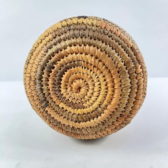 Brown Early 20th Century Ndebele Lidded Basket MATTER COLLECTION For Sale - Image 8 of 8