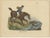 English Horses, 1845, Hand Colored Prints, Set of 3 For Sale - Image 6 of 6
